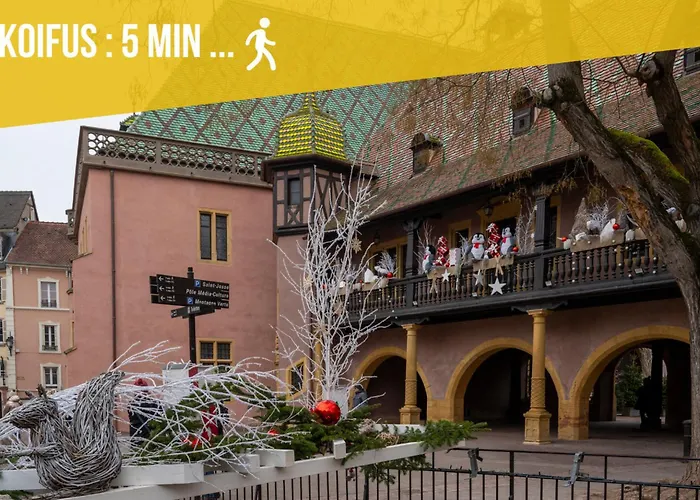 Homestay Bretzel Bed Petite Venise Bed In Shared Center Wi-fi